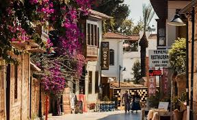 seo by highsoftware99.com