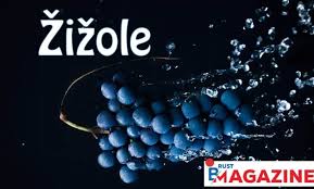 žižole