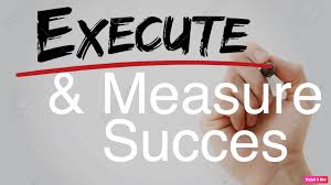 pedrovazpaulo business consultant