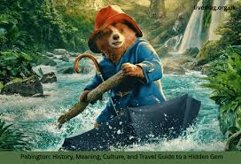 Pabington: The Modern Internet Phenomenon, Concept, and Creative Identity pabington