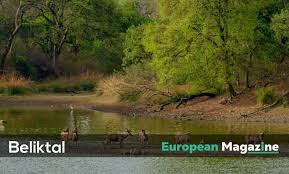beliktal