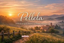 What is pellela? A Complete Guide to Its Meaning and Context pellela